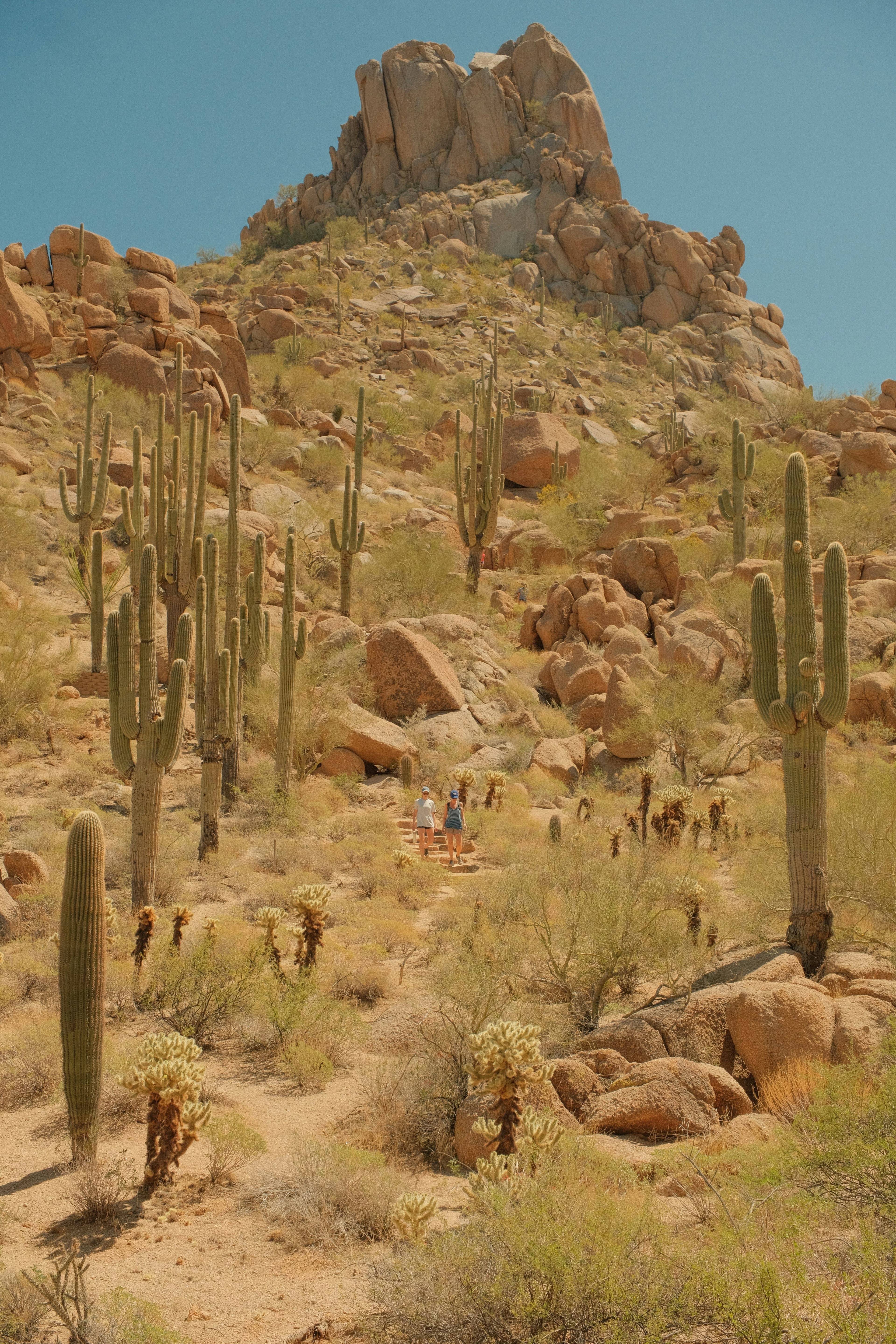 The 5 Best Luxury Neighborhoods in Scottsdale, AZ (2025 Guide)