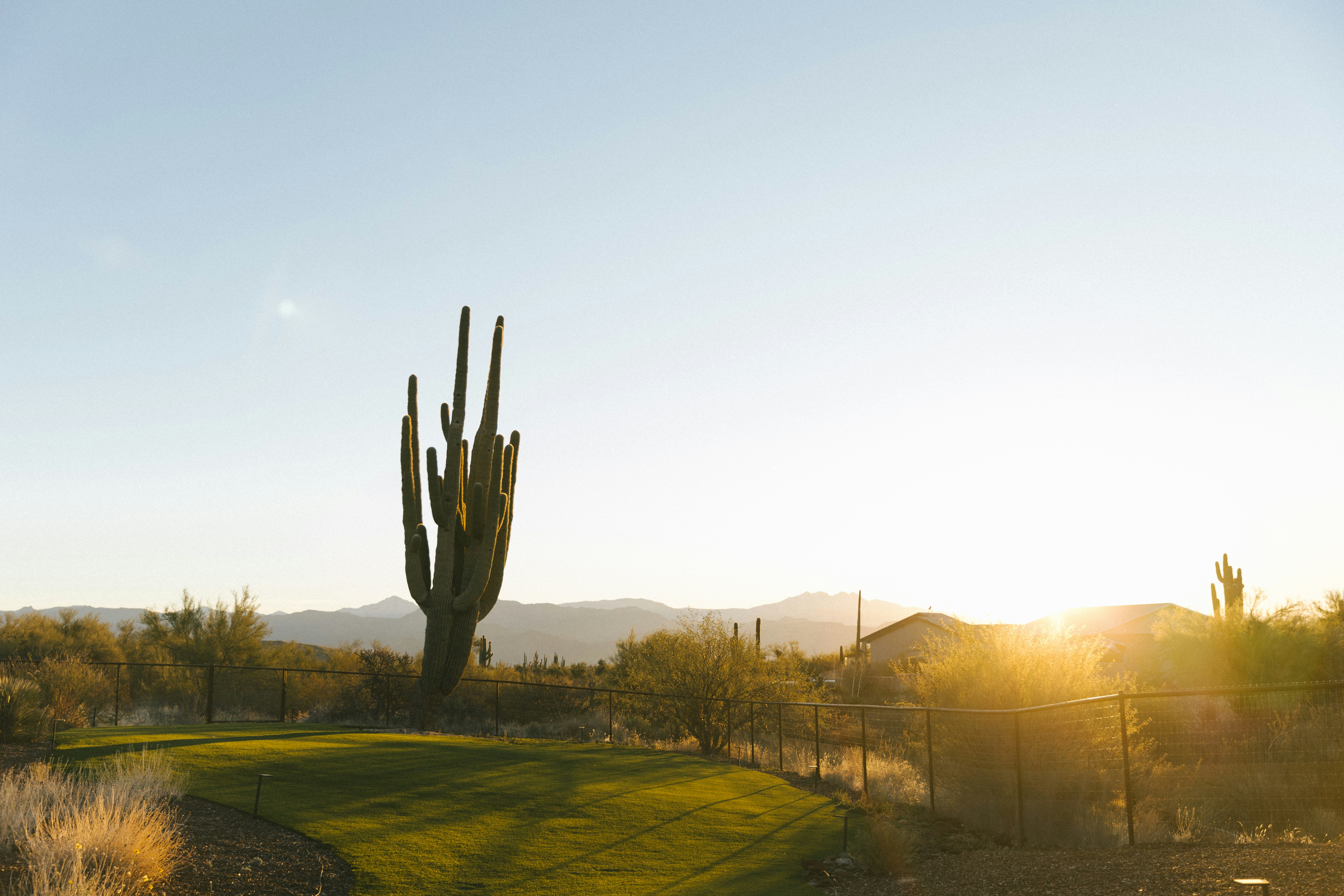 Carefree luxury real estate — Paul Haley
