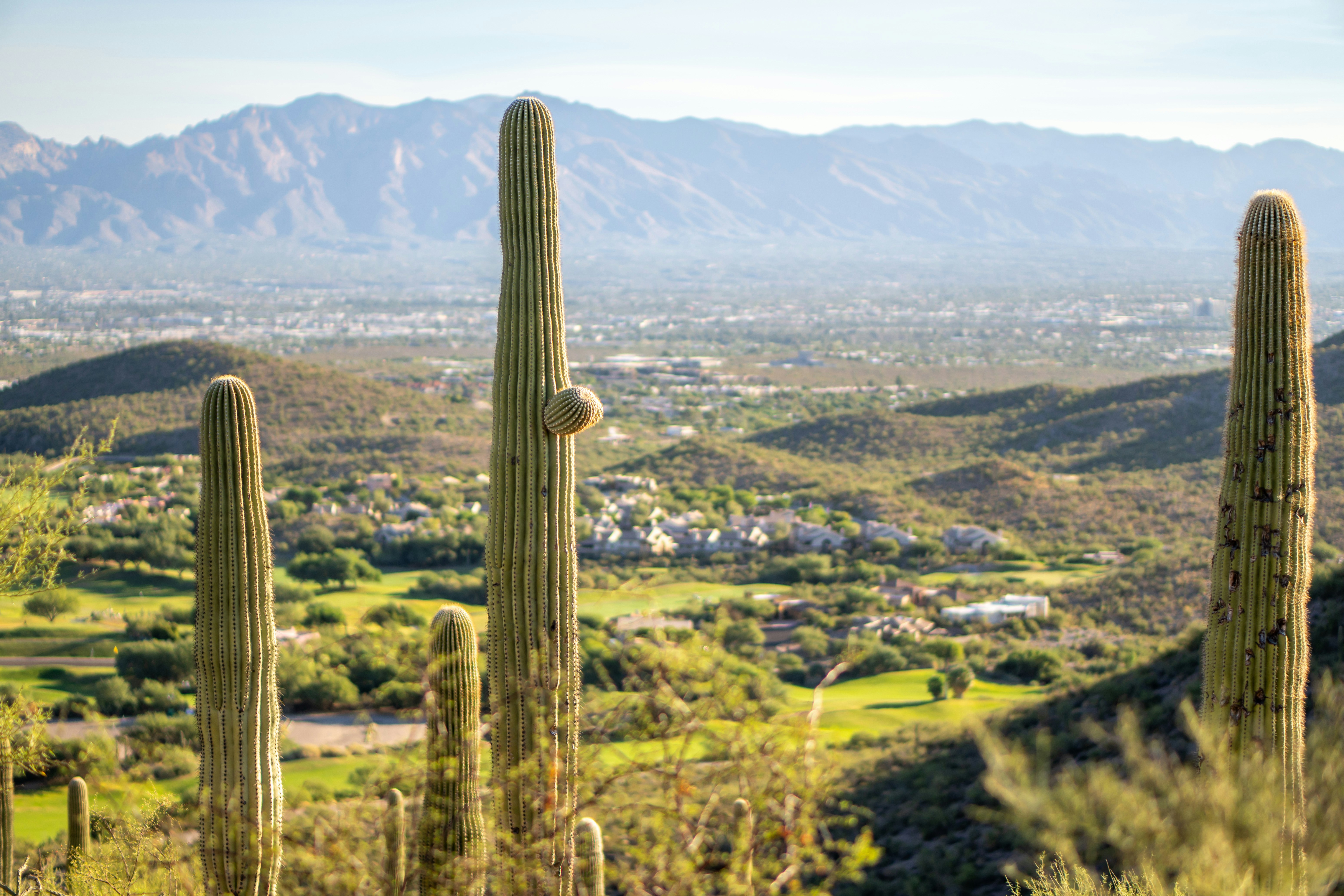 Sell your luxury home in Scottsdale Arizona — Paul Haley eXp Luxury listing agent